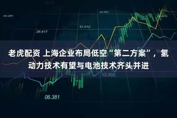 老虎配资 上海企业布局低空“第二方案”，氢动力技术有望与电池技术齐头并进