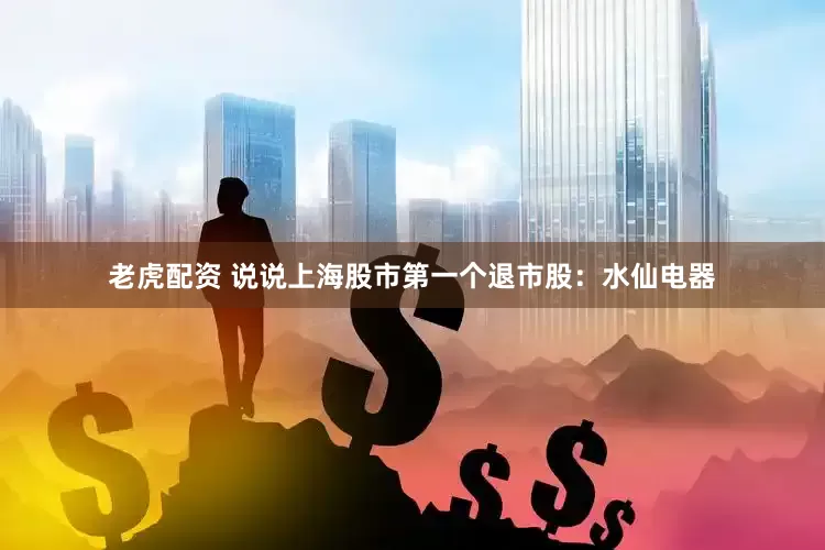 老虎配资 说说上海股市第一个退市股：水仙电器